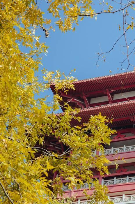 平塚八幡宮