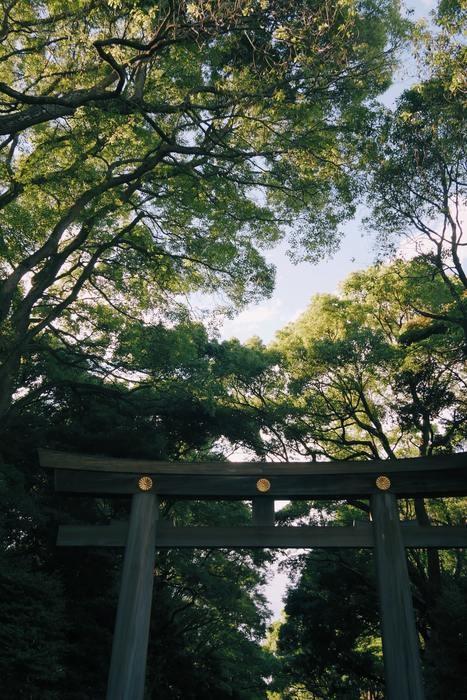 恋愛運アップ！明治神宮