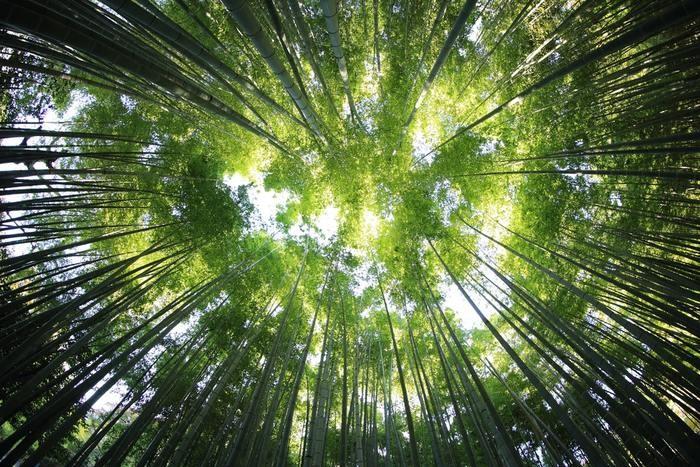 一宮でおすすめのお祓いをしてくれる神社は？