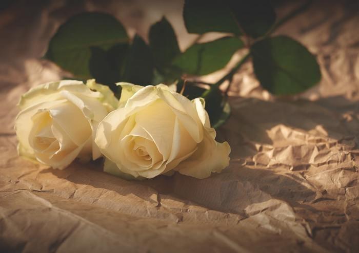 生年月日占い〜本当に今の相手が正解？今の彼と結婚して幸せになれるのか占います！〜