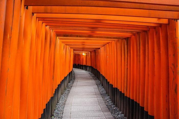 大國魂神社しか府中でお祓いを受けられる神社はない♪