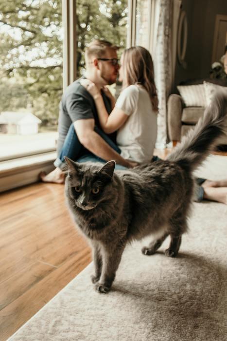 猫も飼いたい！婚期も逃したくないあなたに送る両立のコツ