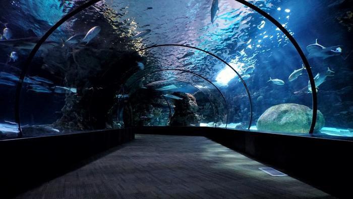 水族館