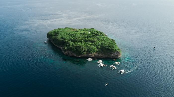 頭脳線の島は場所によって意味が変わります。見方をご紹介！
