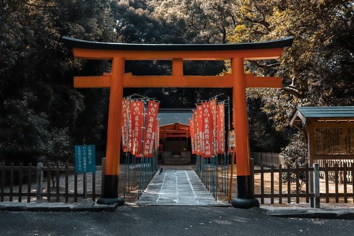 【渋谷パワースポット3】虎と龍の彫刻も待っている！金王（こんのう）八幡宮