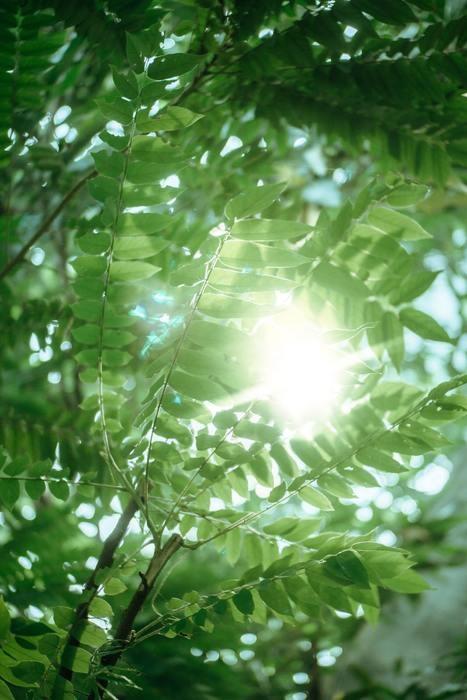 遠隔ヒーリングの嬉しい5つの効果とは？