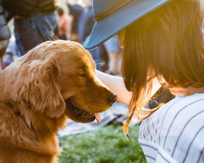 動物に対する「好き」の感情の特徴