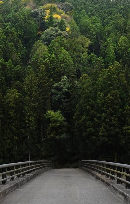 この神社のオススメのお守り♫