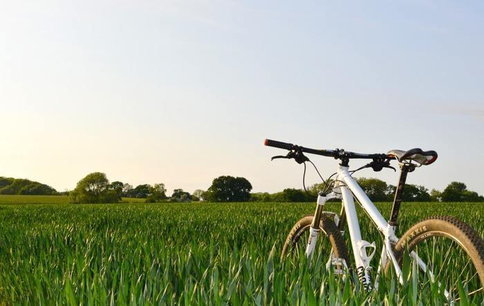田んぼの近くや田んぼの中を自転車で移動する夢