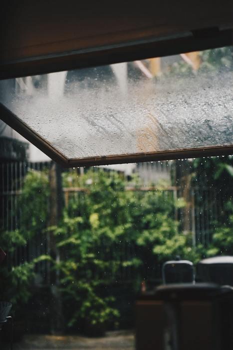 雨に関係する物の夢