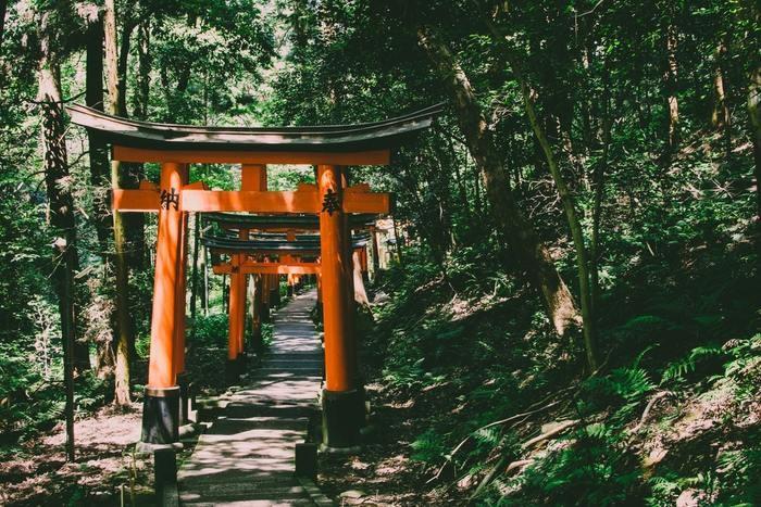 宇都宮でお祓いを受けられるおすすめの神社・寺社はどこ？