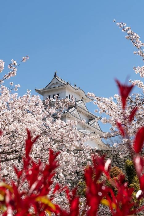 姫路で人気の霊媒師は？本物はいる？