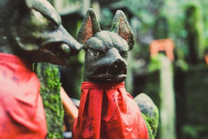 この神社のオススメのお守り♫