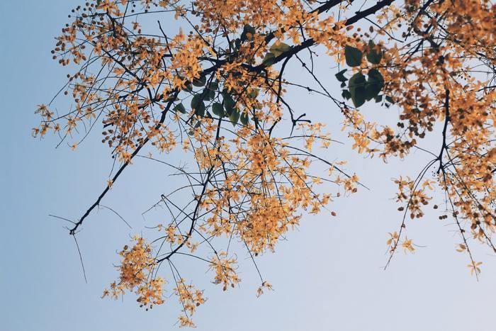 「人生において重要なのは生きることであって、生きた結果ではない」