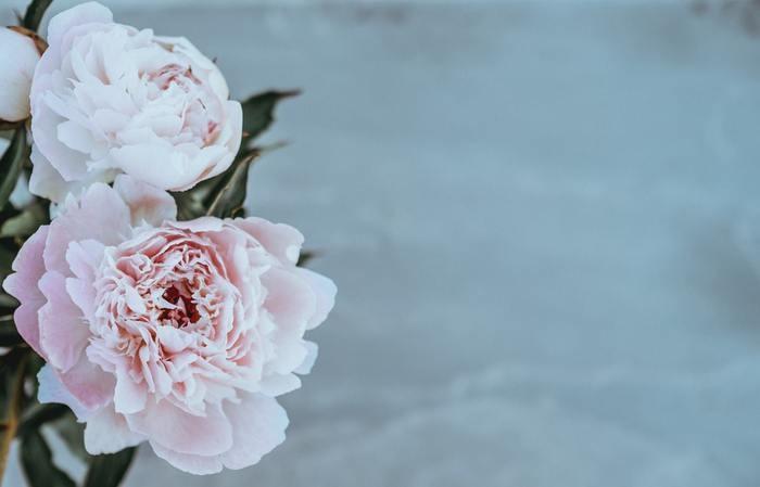 そろそろ結婚観を話し合っておく
