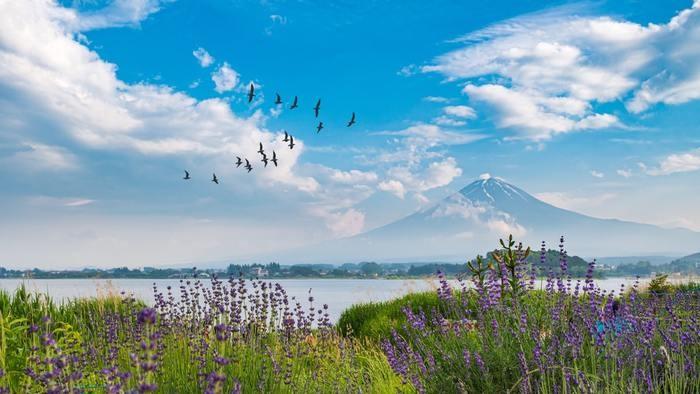 山梨にいる霊能者3選。その実力は？口コミもご紹介