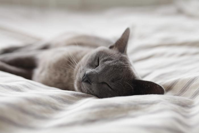 「眠れる」おまじない10選！簡単で即効性が高くて絶対叶う！強力なおまじないを厳選しました