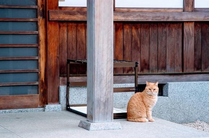 この神社のオススメのお守り♫