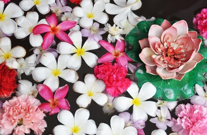 夢の中に花が出てきた！花の夢を見た時の意味と心理