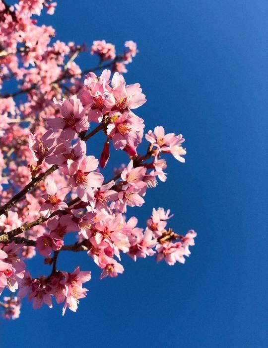 山梨で人気の霊媒師は？本物はいる？