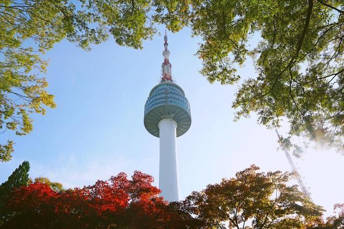 韓国の占いおすすめ8選！占術種類や韓国の占い事情についても解説
