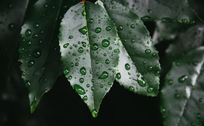 雨を降らせるおまじない5つ【効果が高いもの】