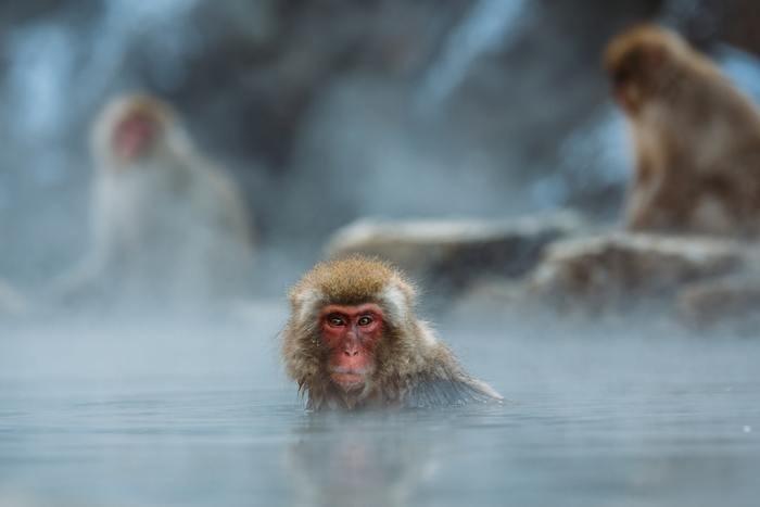 温泉に出かける。体が癒えると心も癒える