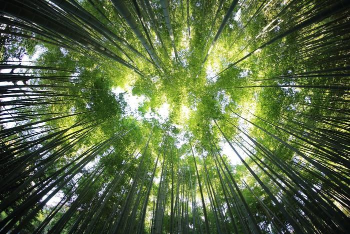 潜在意識は人間関係にどのような作用をもたらしてくれる？