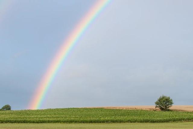 《夢占い》夢の中に虹が出てきた時のメッセージを解読！