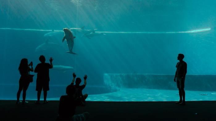 水族館