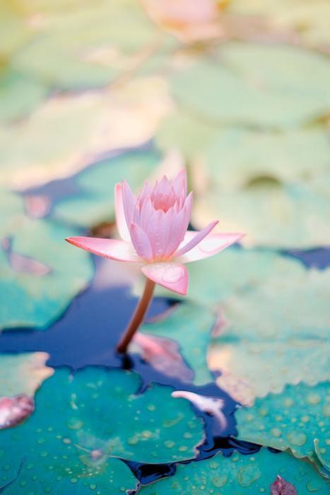 凄く当たると評判。花凛先生とは？