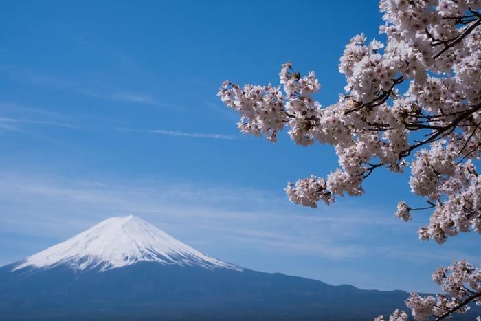 大自然の力驚異！山梨の最強パワースポットはここだ！
