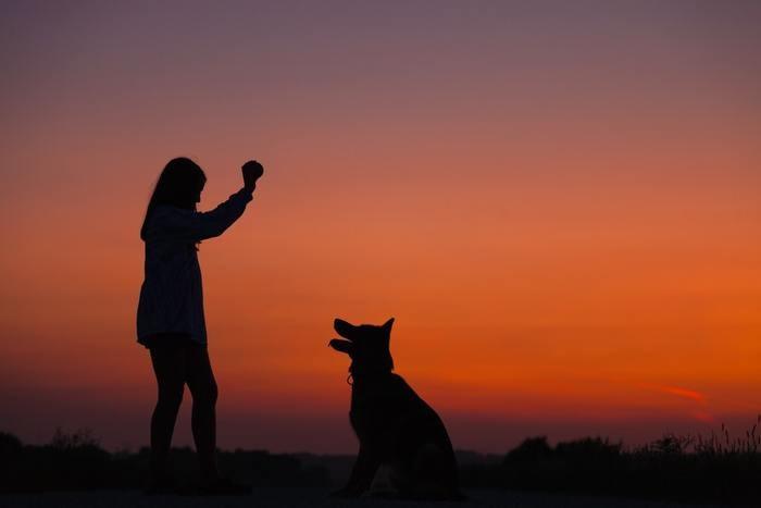 受け入れられないほど辛い愛犬の死…辛い気持ちを乗り越えるために知っておきたいこと