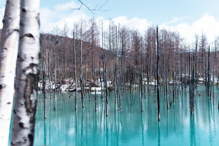 北海道で出来るイタコの口寄せ3選。