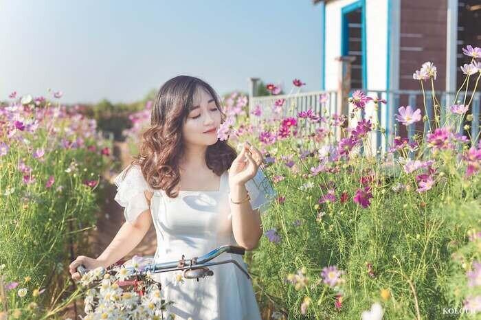 好きじゃない元彼の夢をよく見る時は、自分のストレス指数を確認してみて