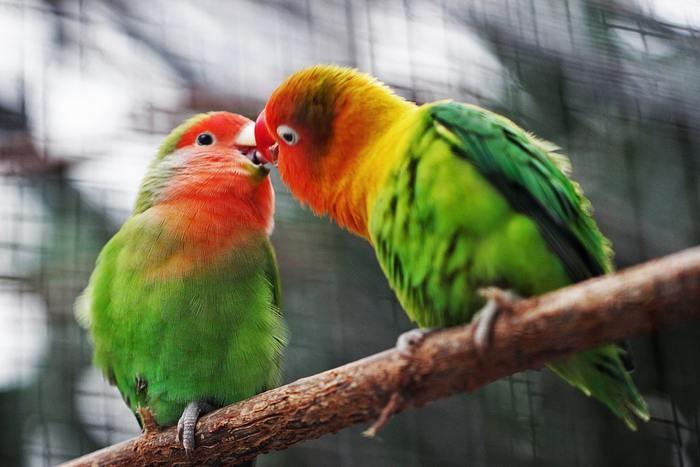 「キス」について考え過ぎないようにしよう