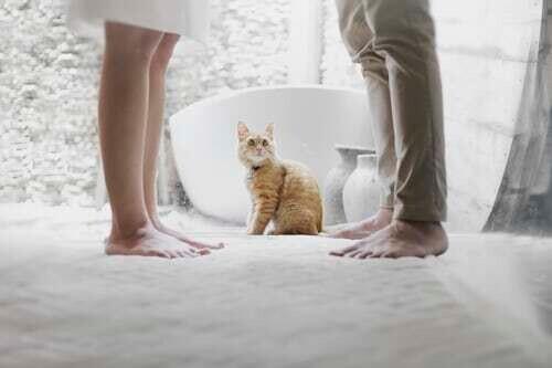 カップルで初めて喧嘩をした時の乗り越え方｜初めての喧嘩のきっかけとNG行動