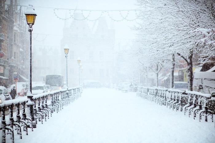 雪道の夢