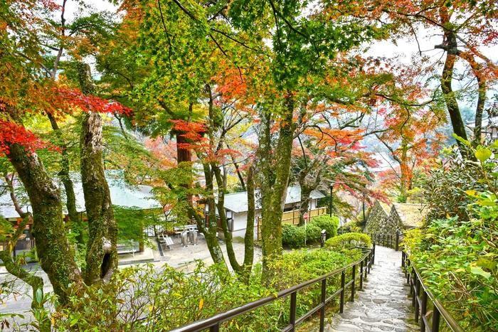 奈良県　唐沢瑞昂先生（関西でおすすめな占い）