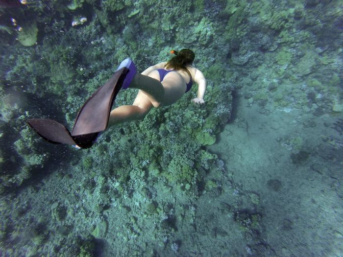 水星人（-）マイナス霊合星人の女性の基本的な性格5つの特徴