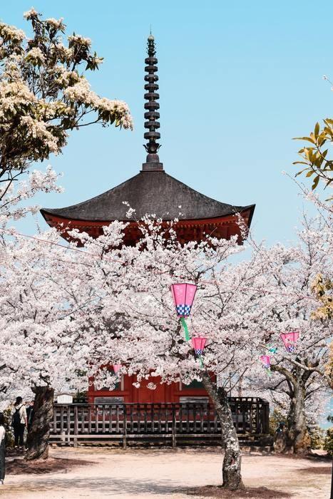 櫻山神社