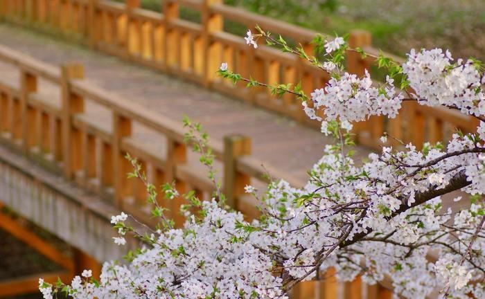 久富稲荷神社