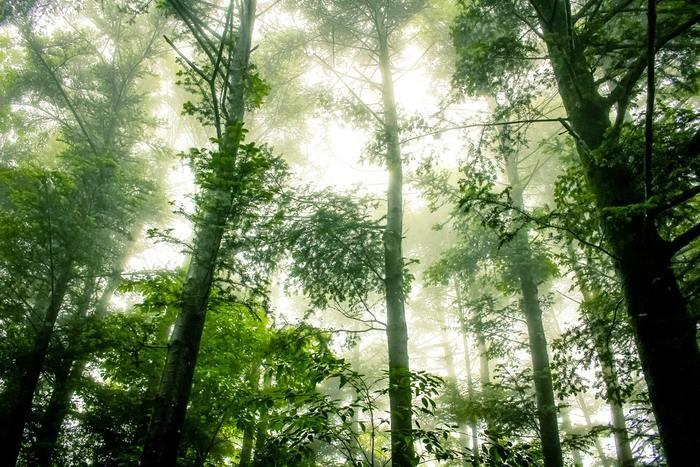幽界の役割とは？なんのためにある？