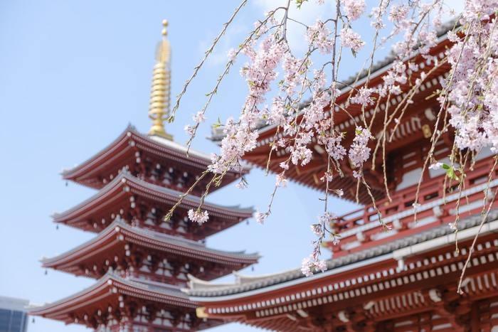 寒川神社の八方除け大麻