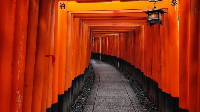 長野でお祓いを受けられる神社4選♪