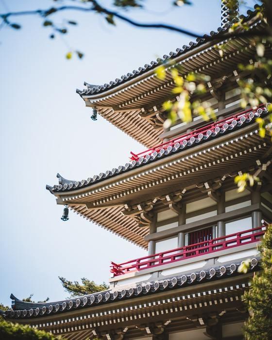 宮城県　佐東陽達先生