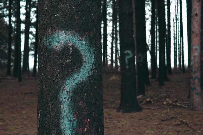 ますかけ線は遺伝しやすいのか？