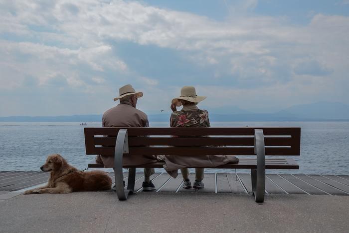 付き合っている相手との未来について占って、教皇が出た場合の解釈