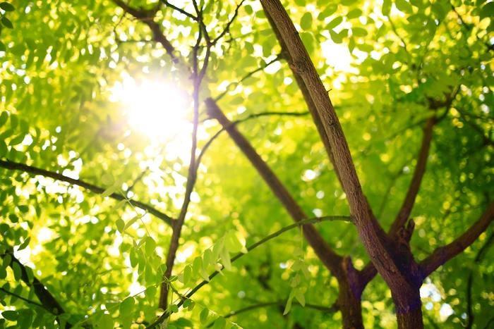 不安や後悔の念が消えない…気持ちを落ち着けて過ごすためには？