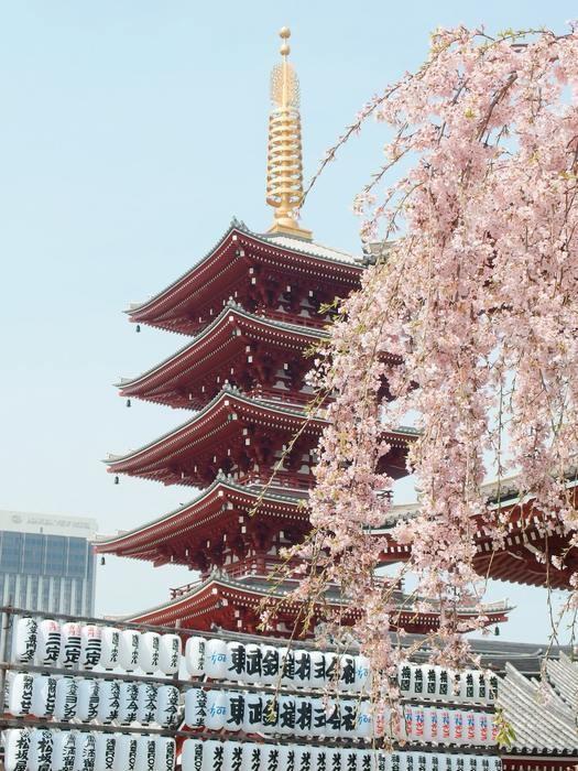 小田原でお祓いを受けられる神社４選♪